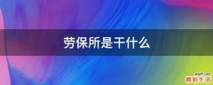劳保所是干什么