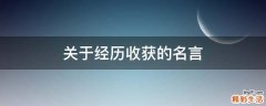 关于经历收获的名言