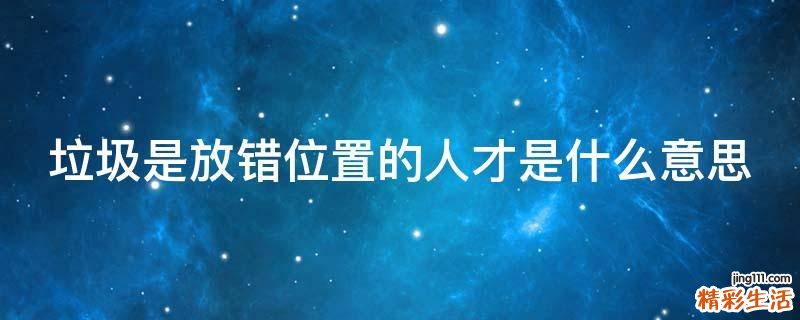 垃圾是放错位置的人才是什么意思