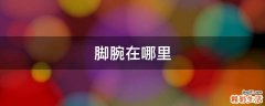 脚腕在哪里