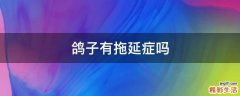 鸽子有拖延症吗
