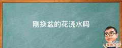 刚换盆的花浇水吗