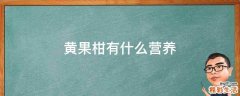 黄果柑有什么营养