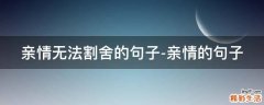 亲情无法割舍的句子-亲情的句子