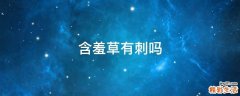 含羞草有刺吗