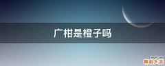 广柑是橙子吗