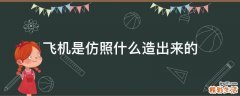 飞机是仿照什么造出来的
