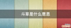 斗草是什么意思