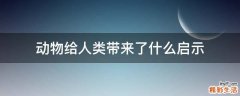 动物给人类带来了什么启示