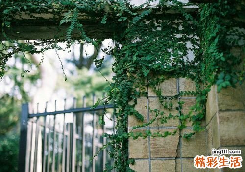 4 年末海岛热 小驴友防护技能get