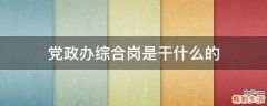 党政办综合岗是干什么的