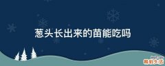葱头长出来的苗能吃吗