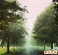 5 川牛膝