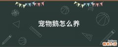 宠物鹅怎么养