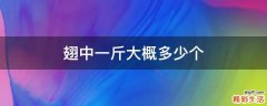 翅中一斤大概多少个