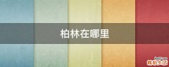 柏林在哪里