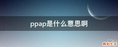 ppap是什么意思啊