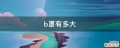 b罩有多大