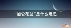 “加仑花盆”是什么意思