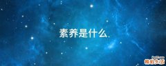 素养是什么