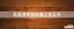 乳胶漆弄到衣服上怎么办