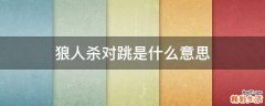 狼人杀对跳是什么意思