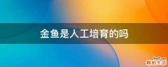 金鱼是人工培育的吗