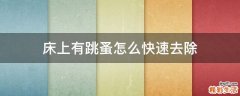 床上有跳蚤怎么快速去除