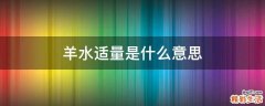 羊水适量是什么意思