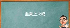 韭黄上火吗