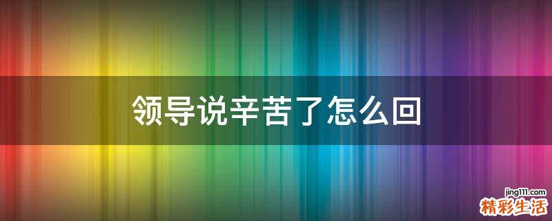 领导说辛苦了怎么回