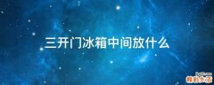 三开门冰箱中间放什么