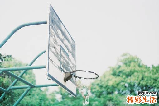 养胃吃什么食物最好