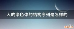 人的染色体的结构序列是怎样的