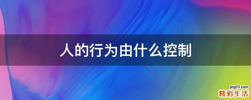 人的行为由什么控制