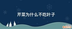 芹菜为什么不吃叶子