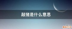 敲猪是什么意思
