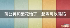 蒲公英和紫花地丁一起煮可以喝吗