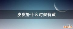 皮皮虾什么时候有黄