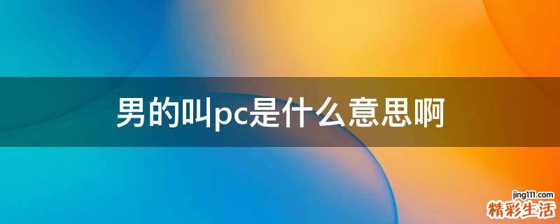 男的叫pc是什么意思啊