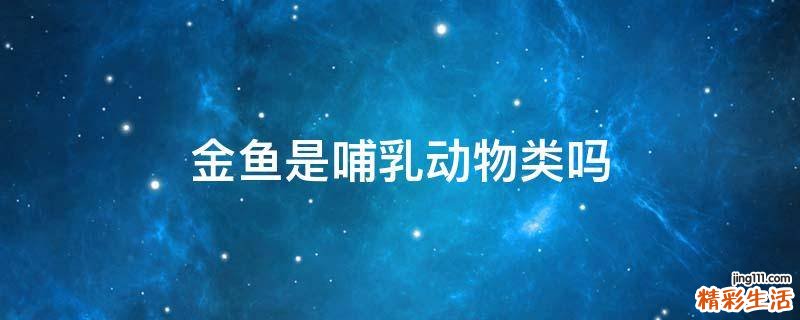 金鱼是哺乳动物类吗
