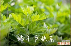 2023端午节黄金有活动吗 2023端午节黄金会有优惠吗