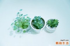 吹空调头疼是什么原因