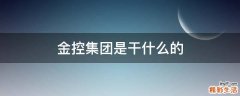 金控集团是干什么的
