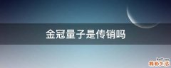 金冠量子是传销吗