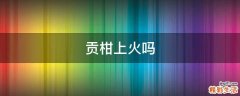 贡柑上火吗
