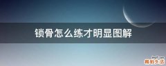 锁骨怎么练才明显图解