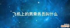 飞机上的男乘务员叫什么