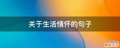 关于生活情怀的句子