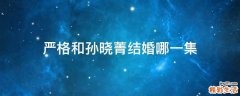 严格和孙晓菁结婚哪一集